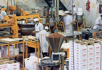 La Caba&ntilde;a Chocolate